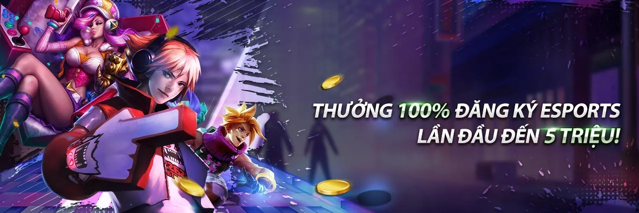 Sân vận động thể thao sôi động tại 79 king